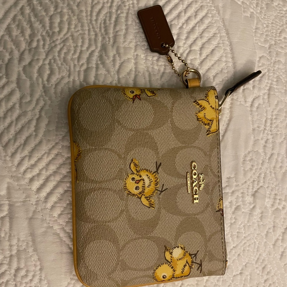 COPY - Coach baby chicken pouch